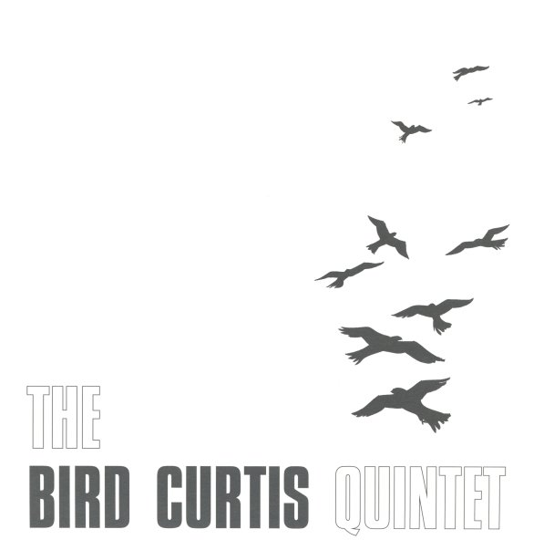 curtis_bird_birdcurti_101b.jpg